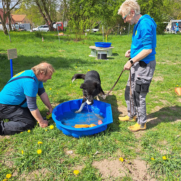 Dusty bei der anderen Wasserarbeit