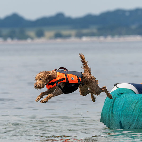 Olina wagt den Sprung vom Boot...